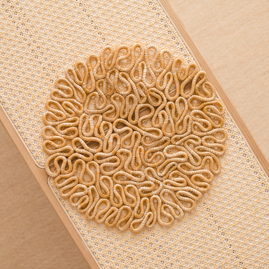 My Fair Artisan Coral Brain Plate Charger